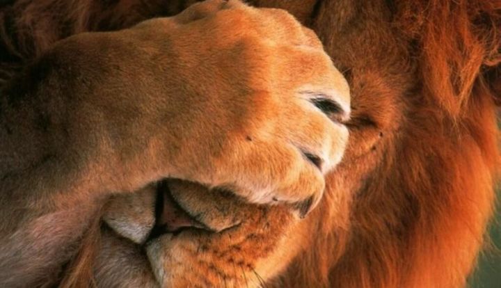 Bu ölkənin reytinqi düşdü, pul vahidi kəskin ucuzlaşdı