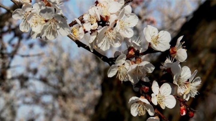 Sabah ölkə ərazisində gözlənilən hava şəraiti açıqlanıb