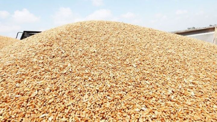 30 min tonluq taxıl-anbar kompleksi qurulacaq