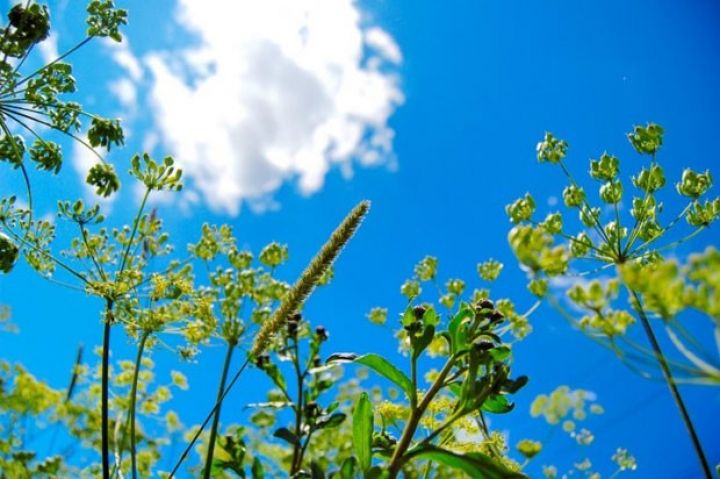 Bazar ertəsinə gözlənilən hava proqnozu açıqlandı