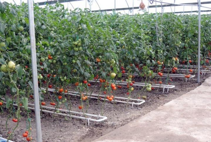 Yeni istixana istifadəyə verilib