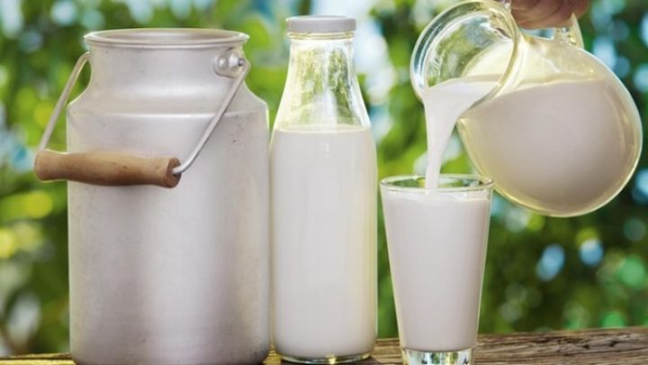 Azərbaycanda südçülük müəssisəsi ləğv olunur