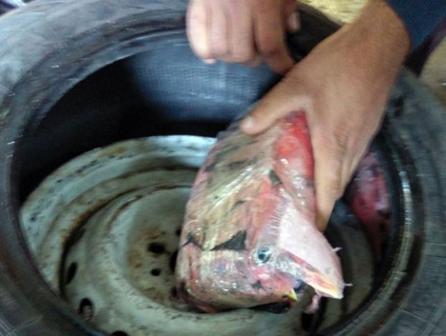 Qaçaqmalçılardan "yeni gizlətmə üsulları" - GÖMRÜK TƏƏCCÜBLƏNİR