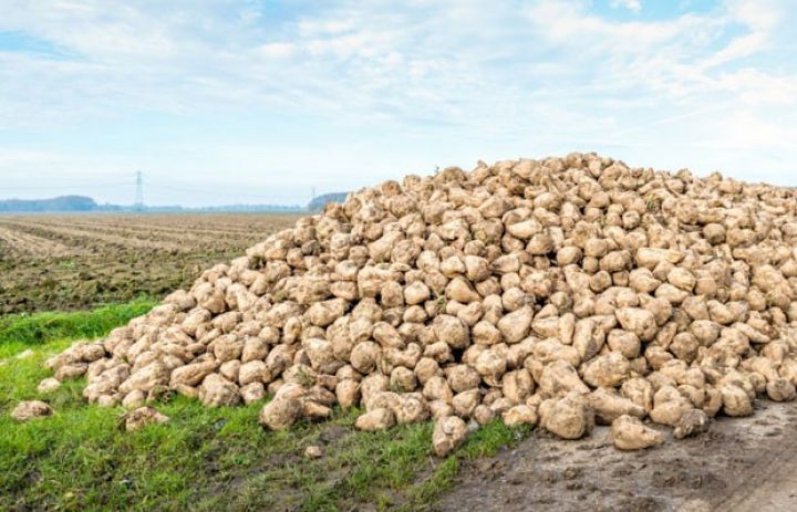 Hər artan 1%-ə 2 manat ödənilir