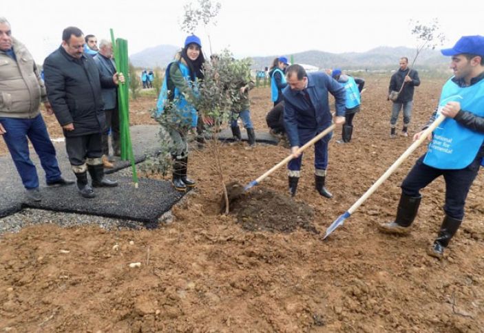 Yeni feyxoa bağı salınıb 