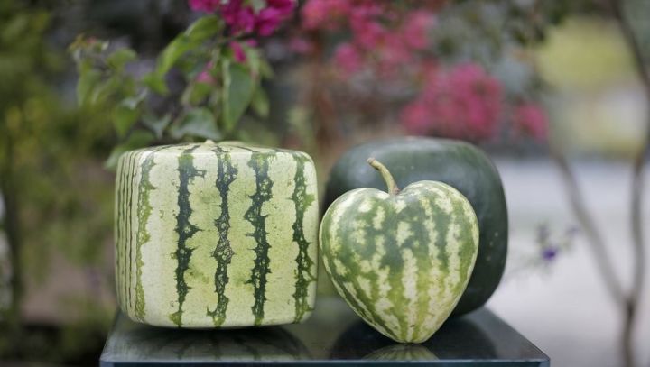 Dünyada şəkilləndirilmiş meyvə-tərəvəzlərə tələb artır