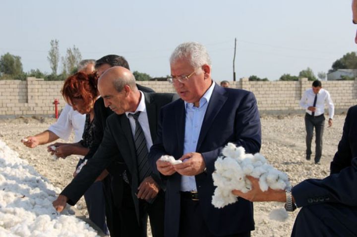 Nazir: Pambıq yığımı zamanı heç bir çətinlik olmayacaq