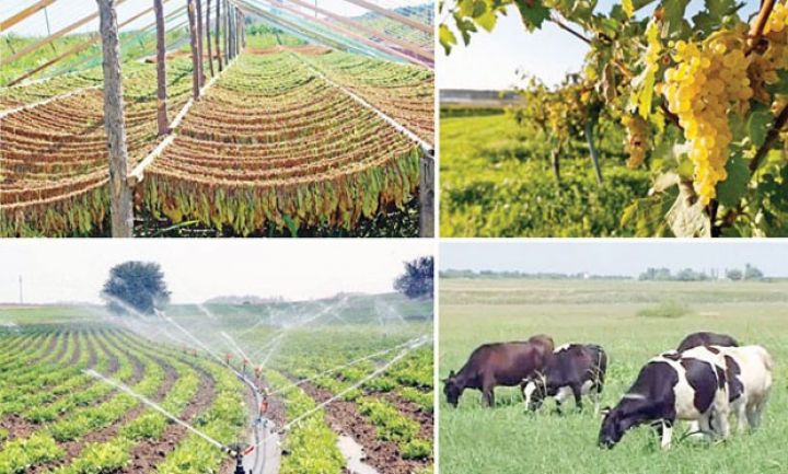 Tovuzlu iş adamları ilə keçirilən görüş səmərəli olub