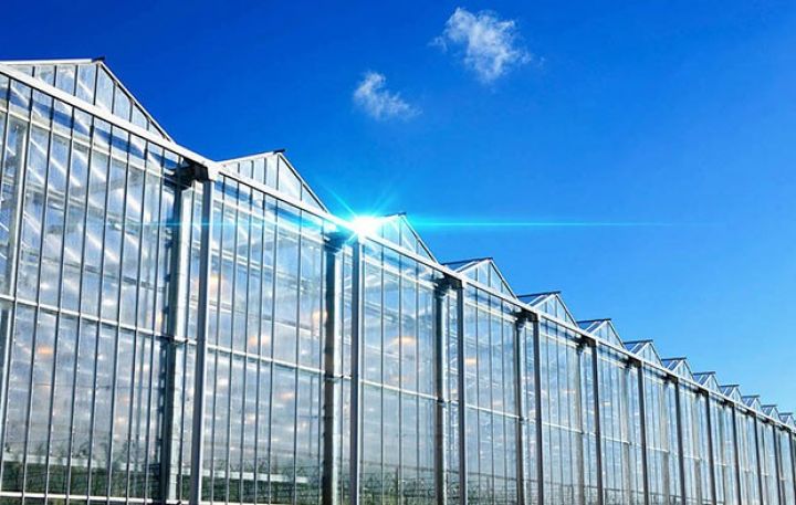 “LBL Qrup” istixana  təsərrüfatını genişləndirir