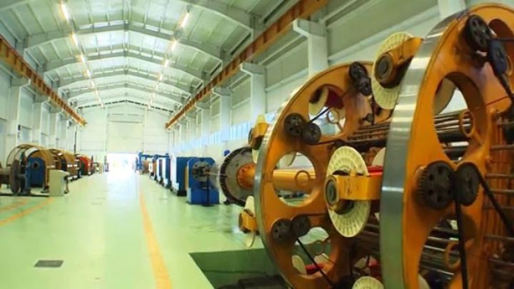 Palatanın müraciətilə iri istehsal şirkəti cəzalandırıldı