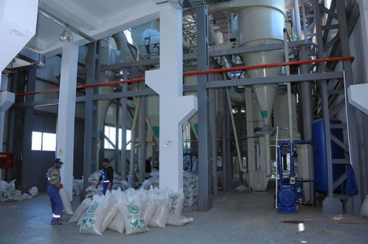 Balıq yemi zavodu quş yemi istehsalına başlayıb