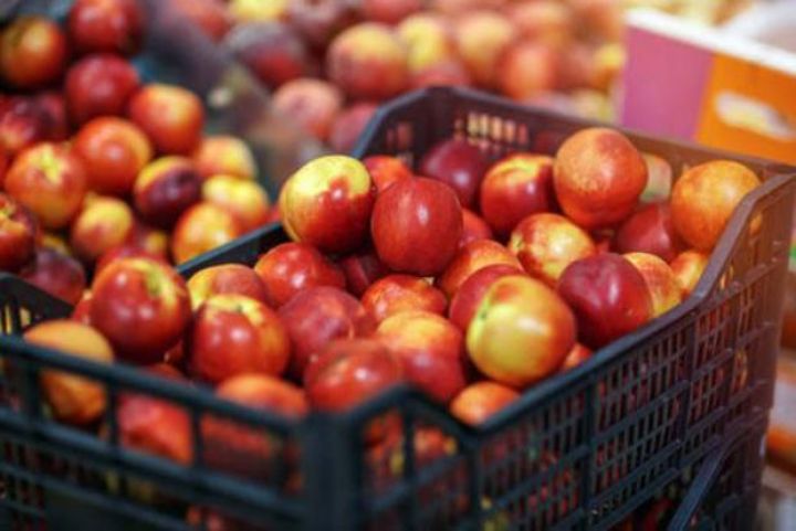 Azərbaycandan gətirilən 19 tona yaxın şaftalı və nektarin Rusiyaya buraxılmayıb