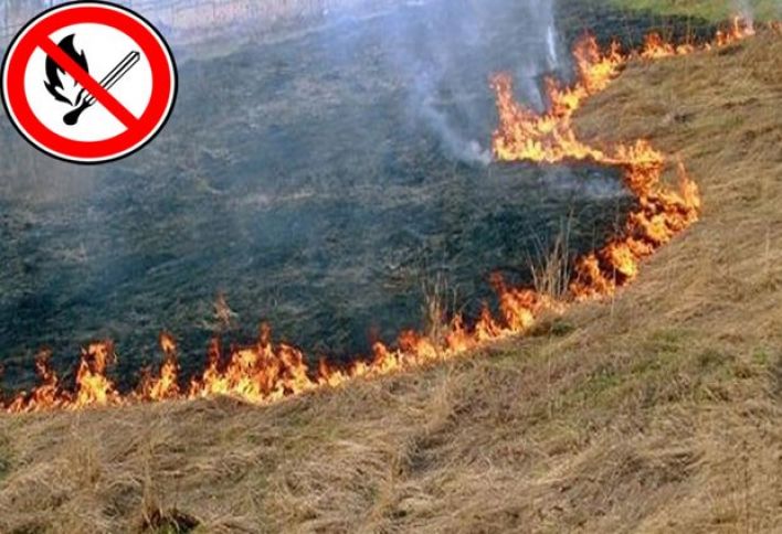 Əkin sahələrini yandıranlar cərimə olunacaqlar - XƏBƏRDARLIQ