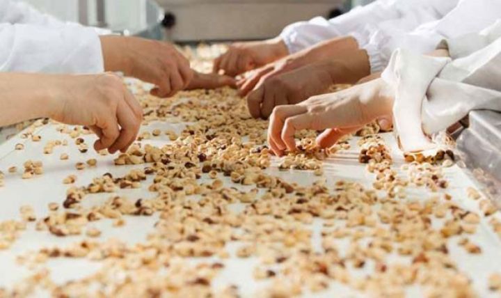 Bakı Fındıq emalı zavodu yenidən hərraca çıxarılıb