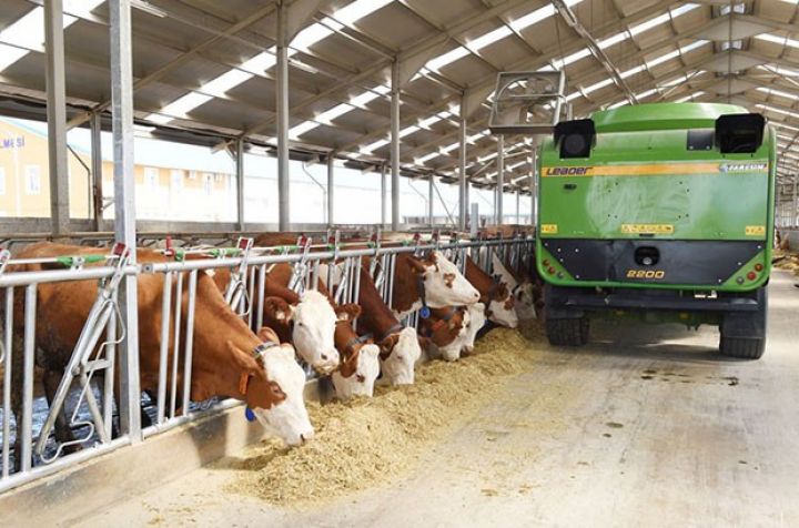 “Yalama Aqropark” taxıl və yem məhsulları alır