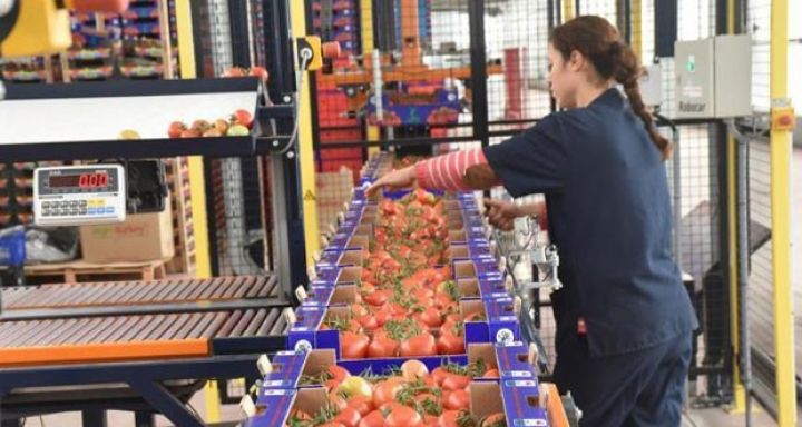 Azərbaycanlı iş adamı Türkiyədəki pulunu geri çəkir