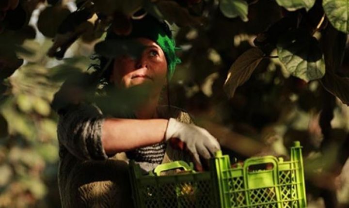 “Bizdən 55 qəpiyə alıb marketdə 3.5 manata satırlar” 