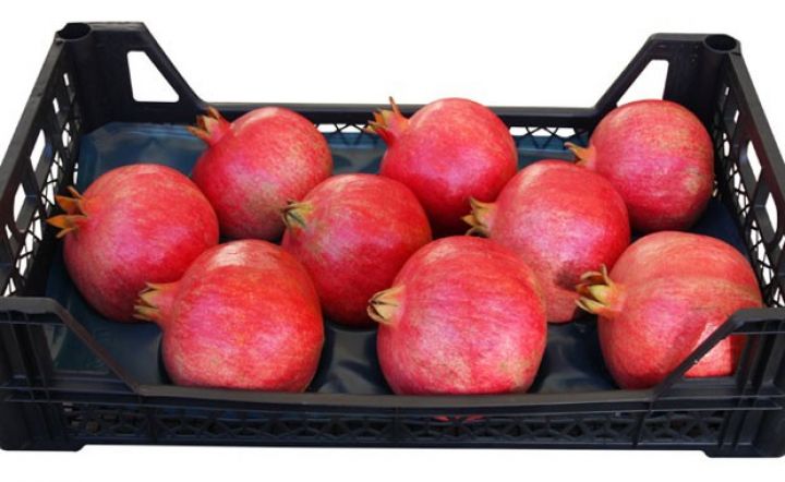 Azərbaycan Avropa Birliyinə nar ixrac edə bilər