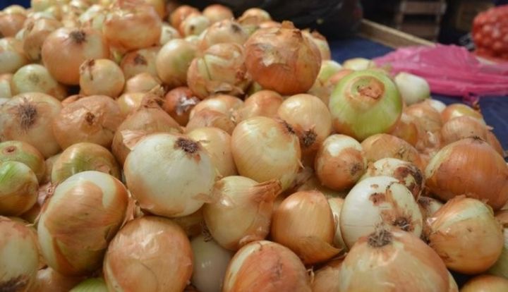 Antalyada "Azərbaycan soğanı" razılaşması