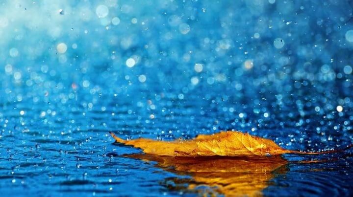 Noyabr ayı üçün hava proqnozu açıqlanıb