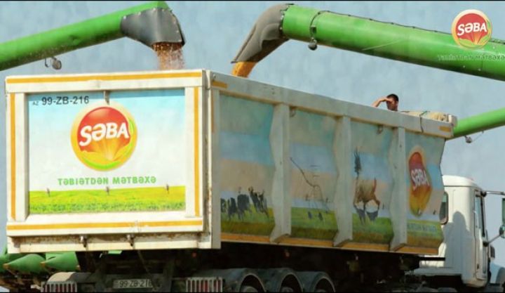 “Səba” bu il əkinçilikdə öz rekordunu qırıb