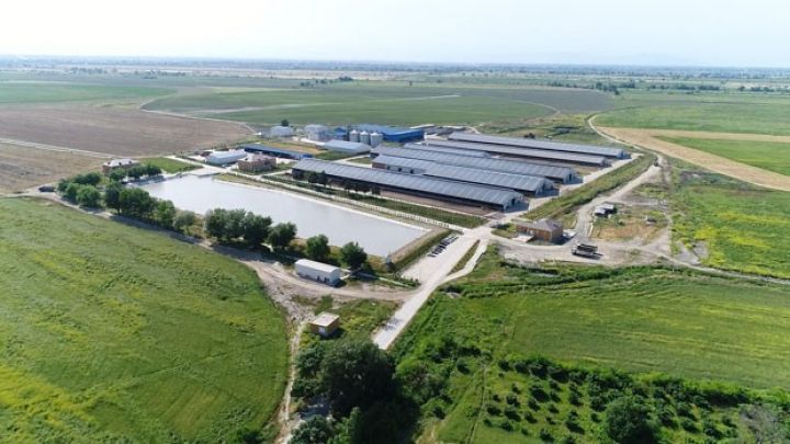 Azərbaycanın ilk aqroparkı 2 yaşının hesabatını verdi - MÜSAHİBƏ