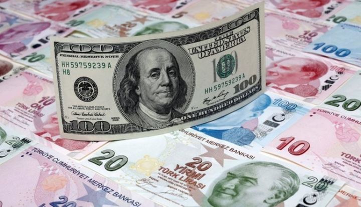 Türkiyə hökuməti Dolların məzənəsi üzrə proqnozunu açıqlayıb
