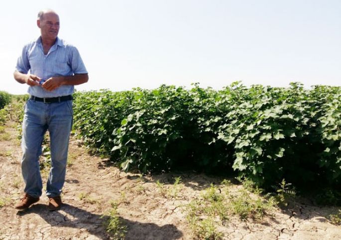 "Qiymətin 50 manat artırılması məni də çox sevindirir"