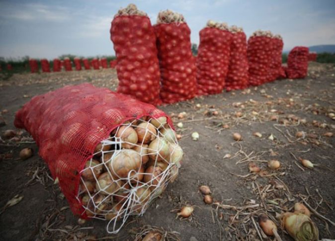 Gömrük rüsumları soğan bazarının strukturunu dəyişib