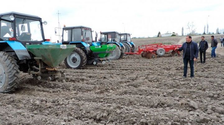 Pambıq əkinində yeni texnologiya - Fermer hektardan 50-60 sentner məhsul götürə biləcək