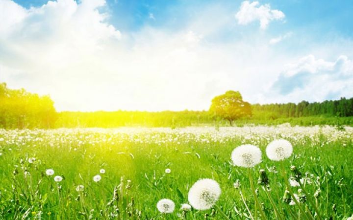 Sabaha olan hava proqnozu açıqlandı