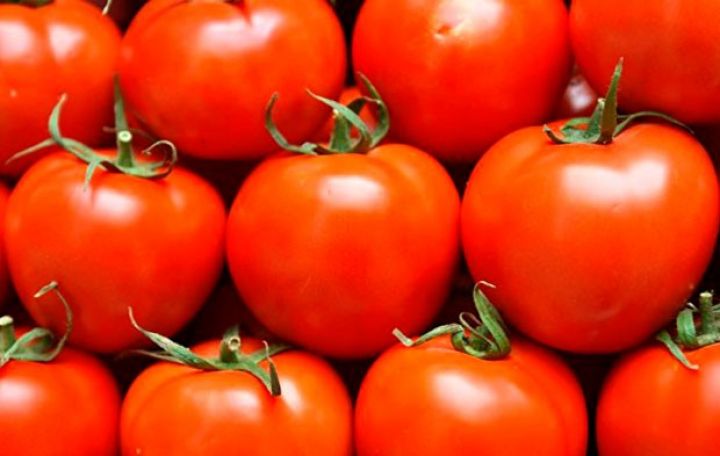 İyulda Azərbaycandan pomidor ixracı kəskin azalıb