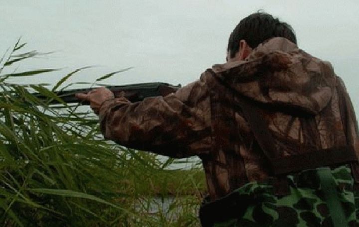 "Vəhşi heyvan və balıqların ovuna icazə “ASAN xidmət”də veriləcək"