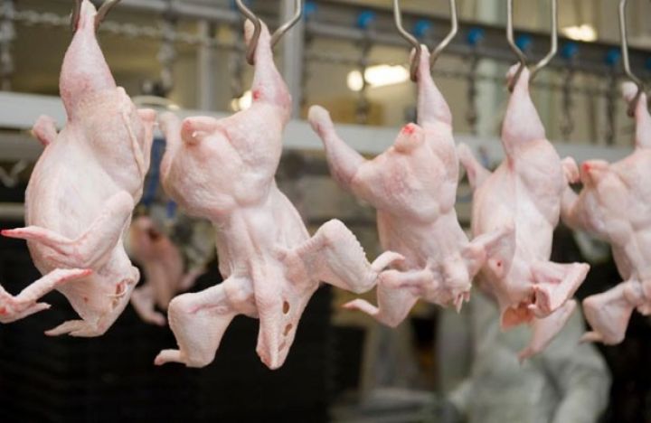 Azərbaycan ötən il Ukraynadan 20 min tondan artıq quş əti idxal edib