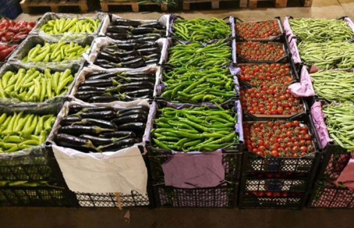 Azərbaycan şirkəti Həştərxanda logistika qovşağına sərmayə yatıracaq - MEYVƏ- TƏRƏVƏZ DAŞINACAQ