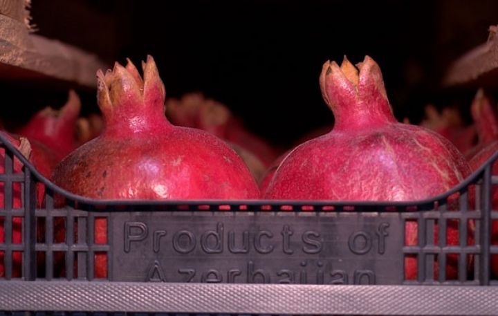Azərbaycan Avropaya nar ixracını artırmaq niyyətindədir