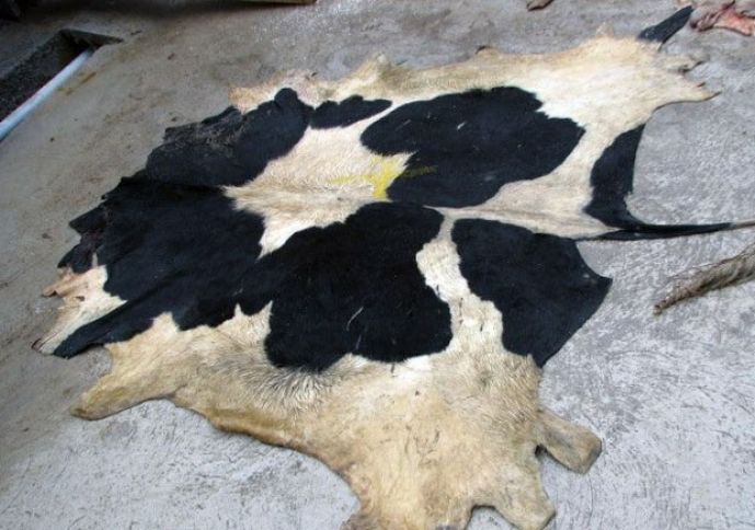 İtaliya şirkəti Azərbaycanda dəri üzrə birgə müəssisə yaratmağı planlaşdırır