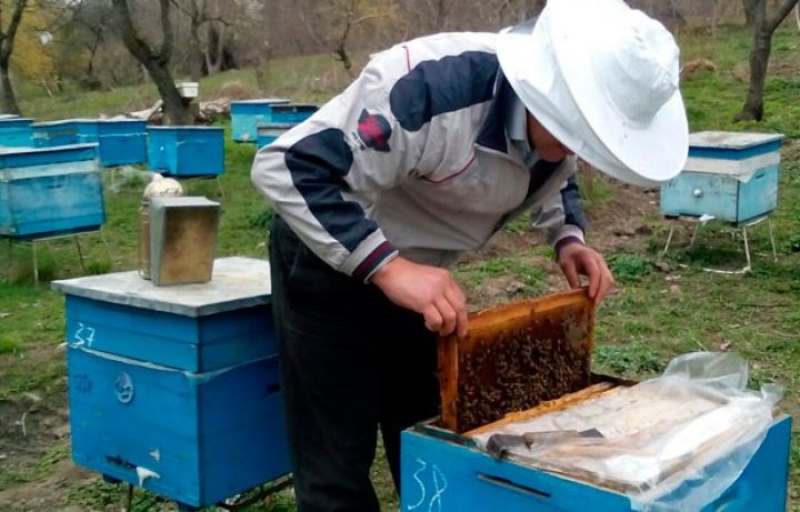 Arıçılara 910 min manat ödənilməsinə qərar verildi