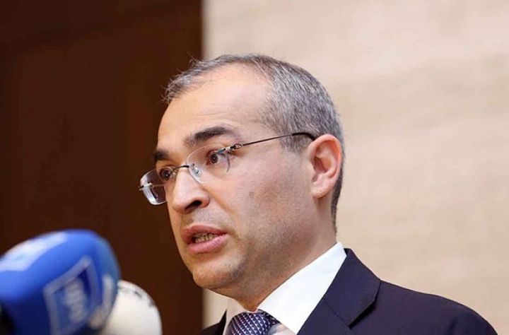 "Biznes sahibləri şüurlu şəkildə "kölgəyə çəkilməyə" üstünlük veriblər"