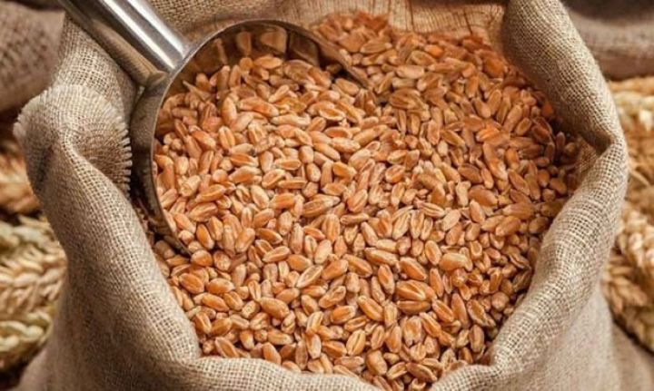 “Azərbaycan ərzaq buğdasına olan tələbatının 62%-ni ödəyir”