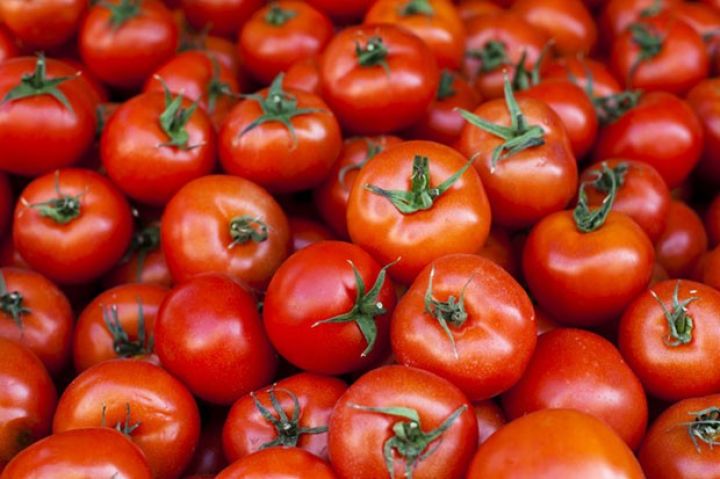 Azərbaycandan böyük həcmdə pomidor ixracı Sentyabrda da bərpa edilməyib