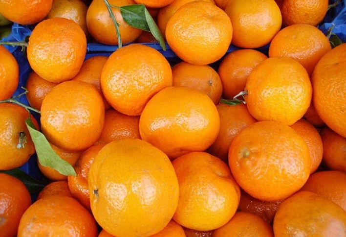 “Brüsseldə portağal Bakı ilə müqayisədə ucuzdur” - İNHİSAR TAM ARADAN QALDIRILMAYIB