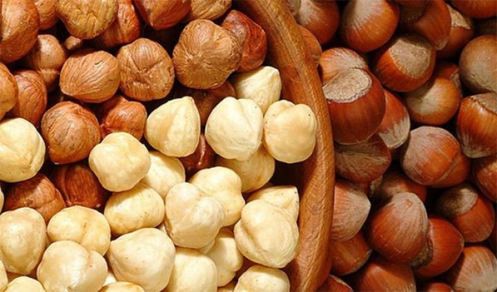 2 Avropa ölkəsi Azərbaycandan fındıq idxalını artırmaq istəyir