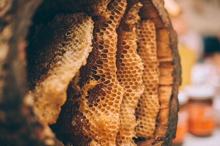 Azərbaycanda bal idxalına məhdudiyyətlər qoyula bilər