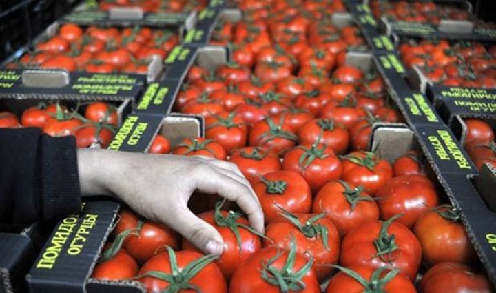 Azərbaycandan pomidor ixracı demək olar ki, dayanıb