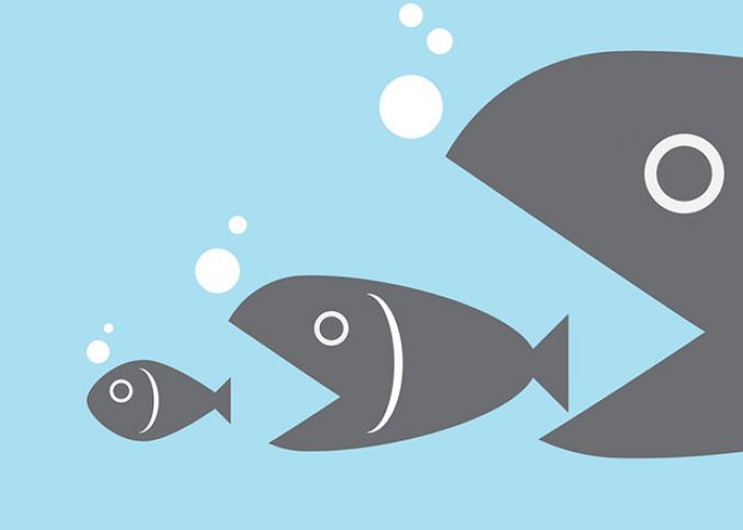 Bank sektorunda mənfəətin 90 faizə yaxını “balinaların” payına düşüb