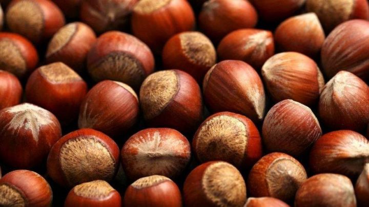 Azərbaycan ərəb ölkəsinə fındıq satmağa başlayıb