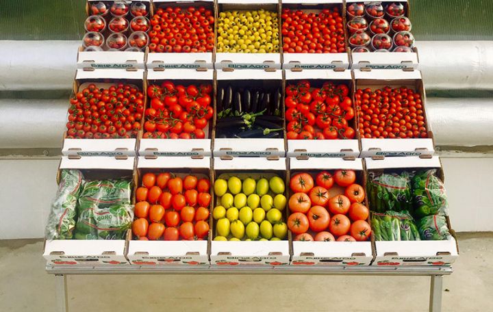 İki şirkət aparıcı istixana şirkətinə birləşib