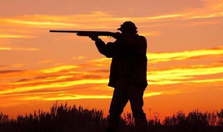 "Ova qadağanın qoyulması qeyri-qanuni yollara əl atmalara səbəb ola bilər"