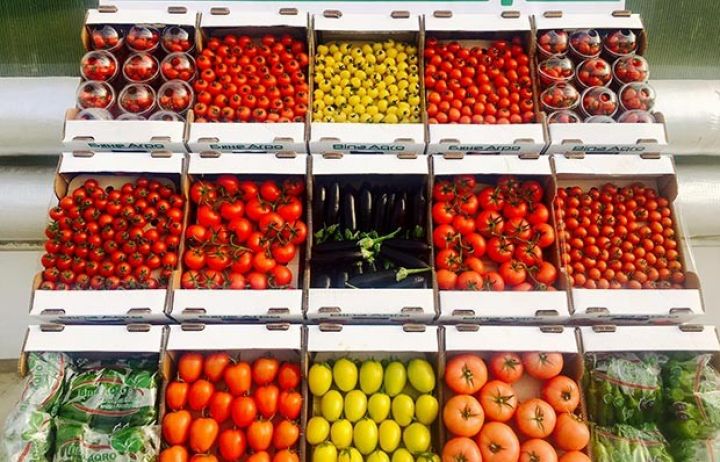 İki aqrar şirkət "qapalı" formaya keçdi